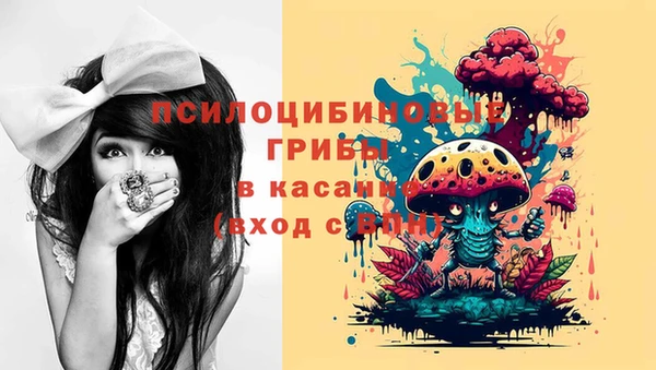 герыч Арсеньев