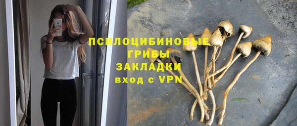 герыч Арсеньев