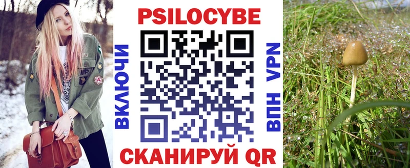 Галлюциногенные грибы мицелий  Луза 